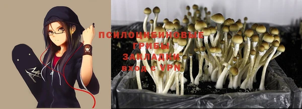 стаф Алексин